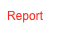 Report